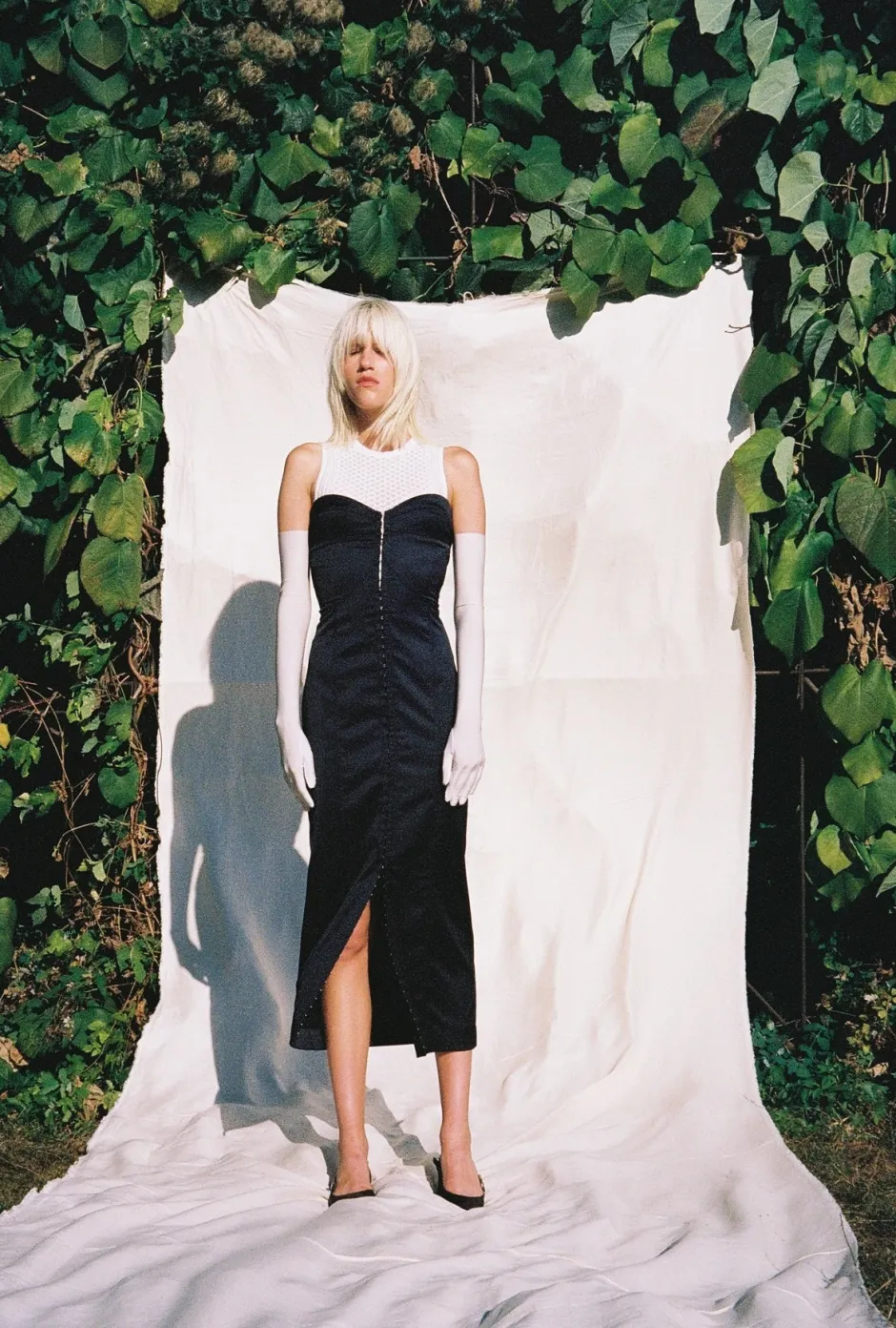 Hot - Evelin Dress - Black Dresses | Midi