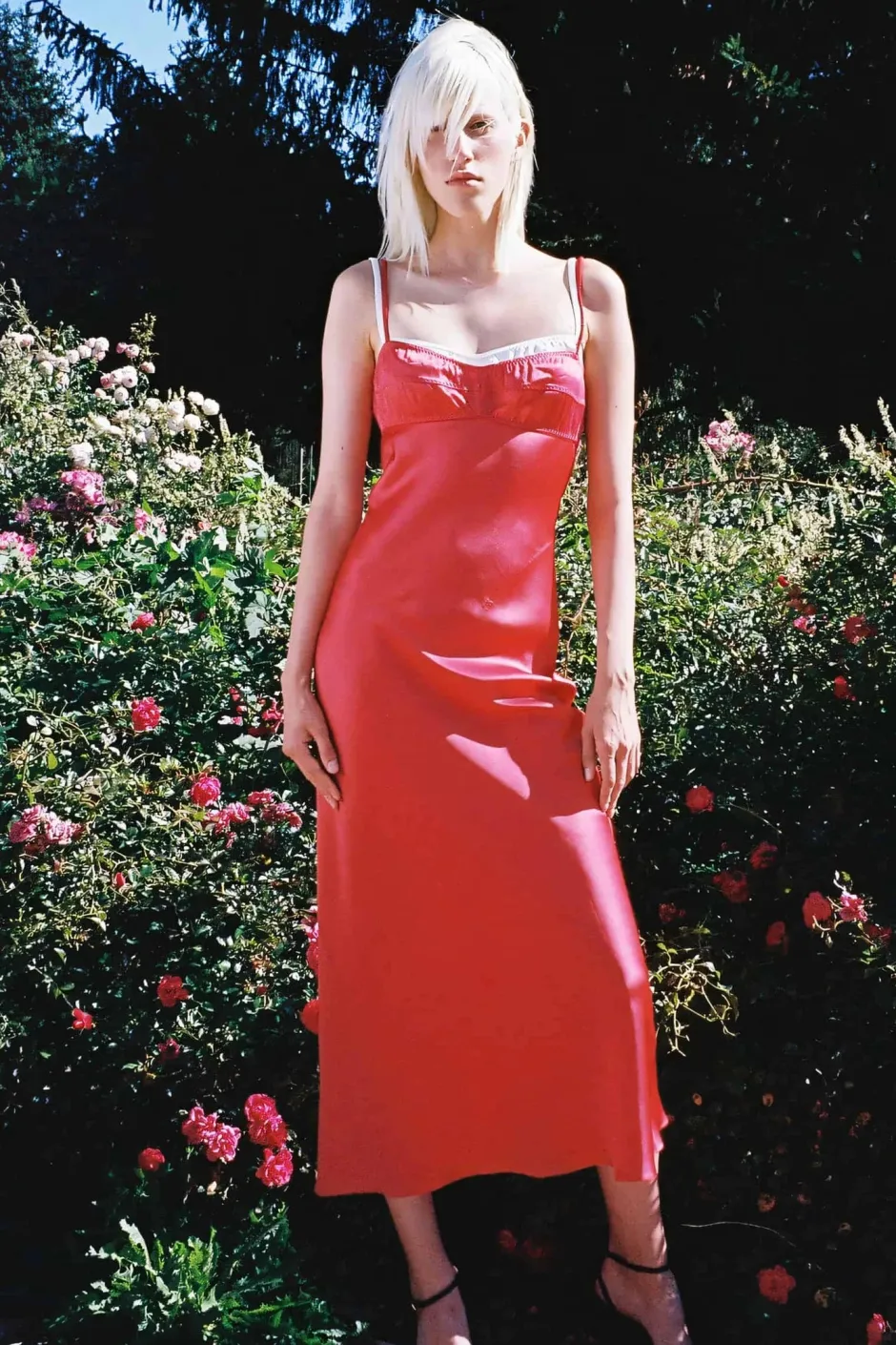 Online - Waterlily Lux Dress - Red Dresses | Midi