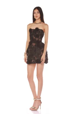 New - Jasmine Maraya Mini Dress - Black/Nude Mini Dresses | Dresses