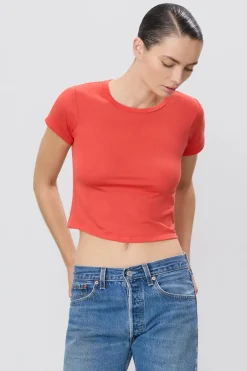 Sale - Short Sleeve Baby Tee - Poppy Crop Tops