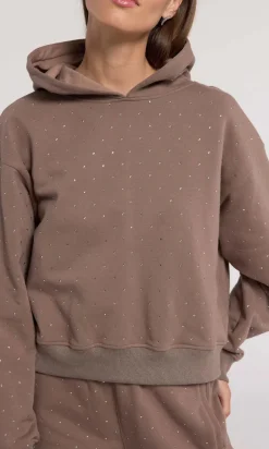 Online - Renae Crystal Hoodie - Truffle Sweaters & Knits