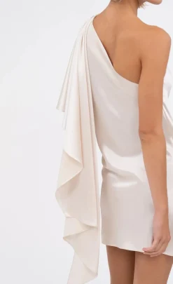 Clearance - Malia Dress - Champagne Mini Dresses | Dresses