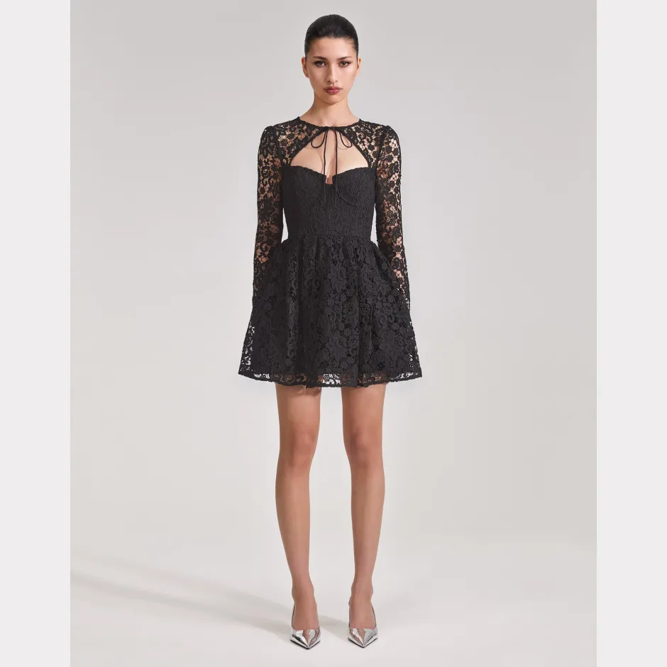 Online - Black Lace Tie Neck Mini Dress - Black Dresses | Mini Dresses